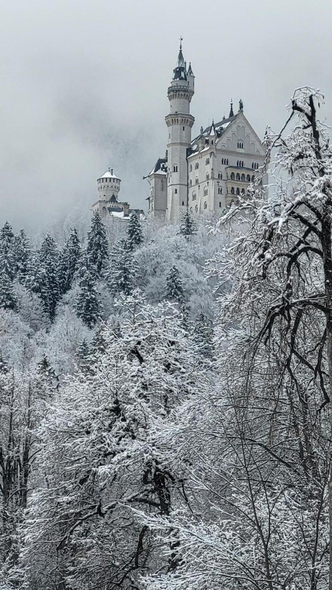 House La Neuschwanstein Blick - Budget City Hotel Fussen Exterior foto