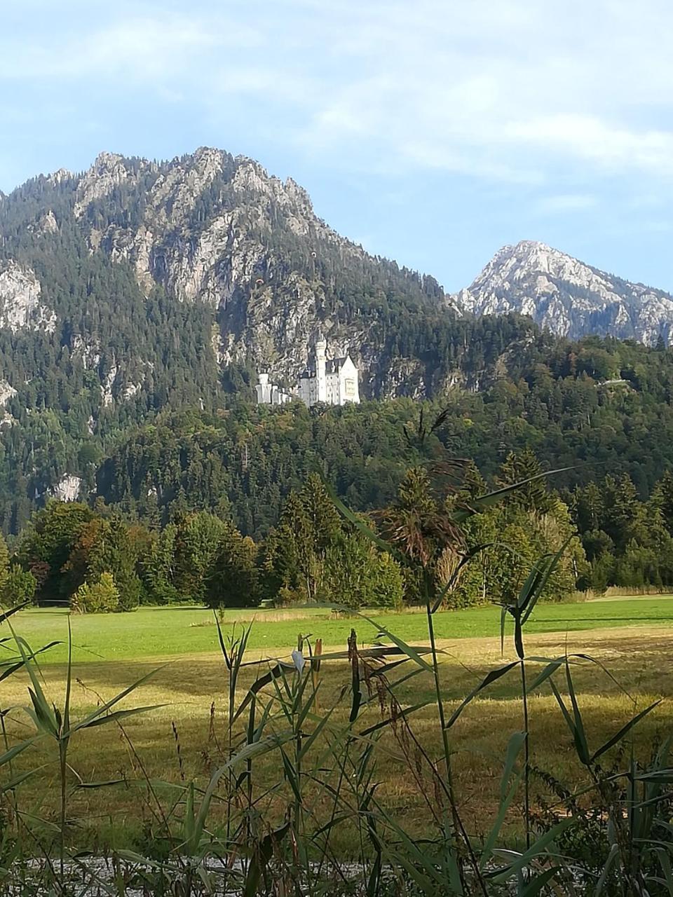 House La Neuschwanstein Blick - Budget City Hotel Fussen Exterior foto